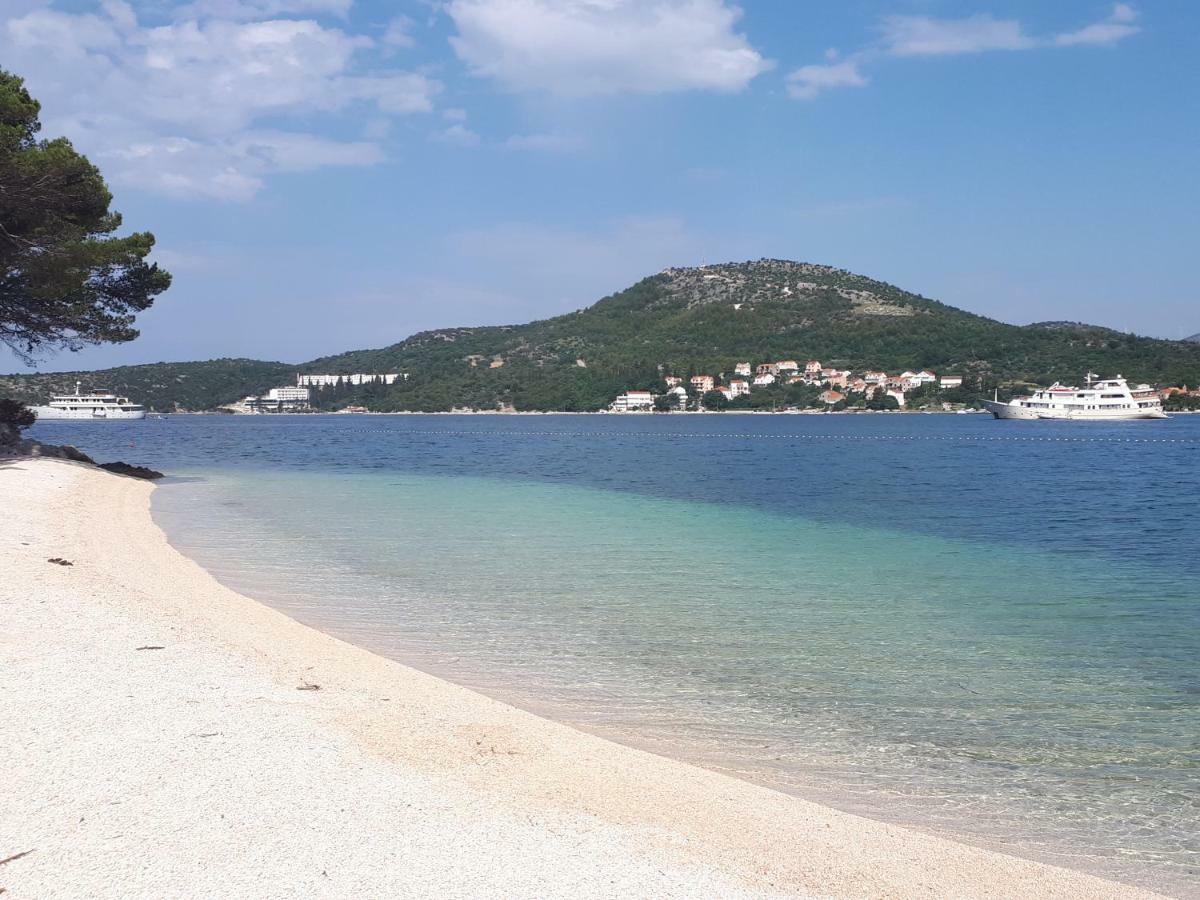 Apartments Sisevic - Comfort Apartments With Balconies And Sea View Slano Εξωτερικό φωτογραφία